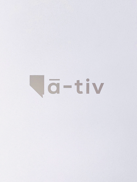 Native Decal - Silver